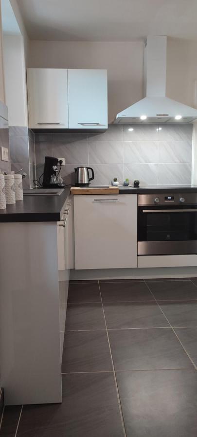 Logement Cosy Et Spacieux, A 2 Pas Du Centre-Ville Кольмар Экстерьер фото